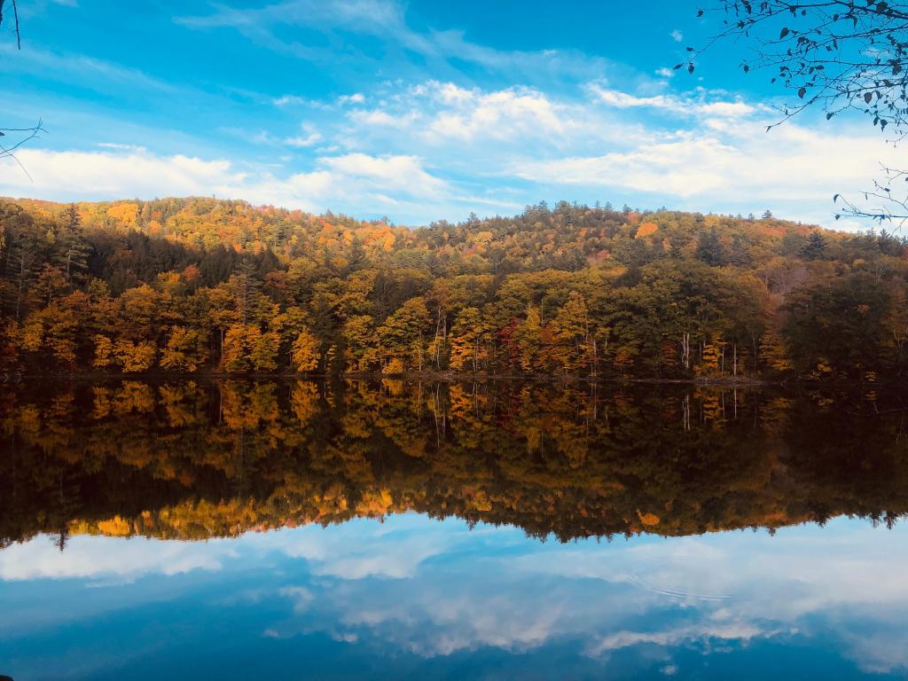 水天一色的秋景图片