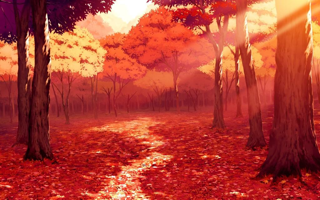 森林,路径,树,秋天,光芒