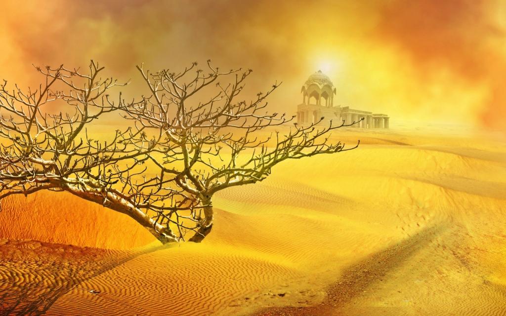沙,沙漠,太阳,布什,沙尘暴,寺庙
