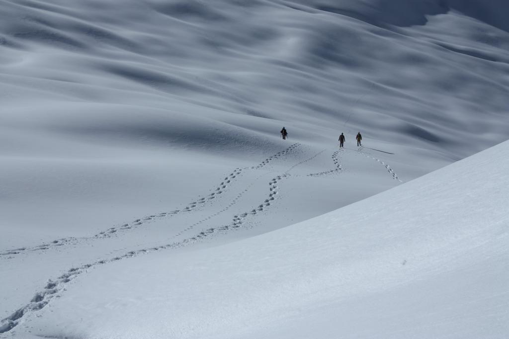 三个人沿着冰雪覆盖的场高清壁纸漫步