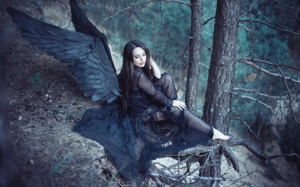 壁纸天使,黑色的翅膀,森林