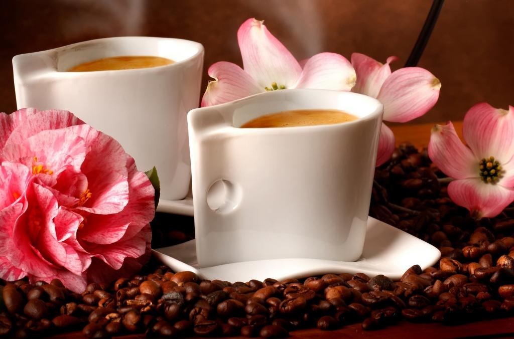 鲜花,鲜花,咖啡豆,香气,咖啡豆,咖啡,咖啡
