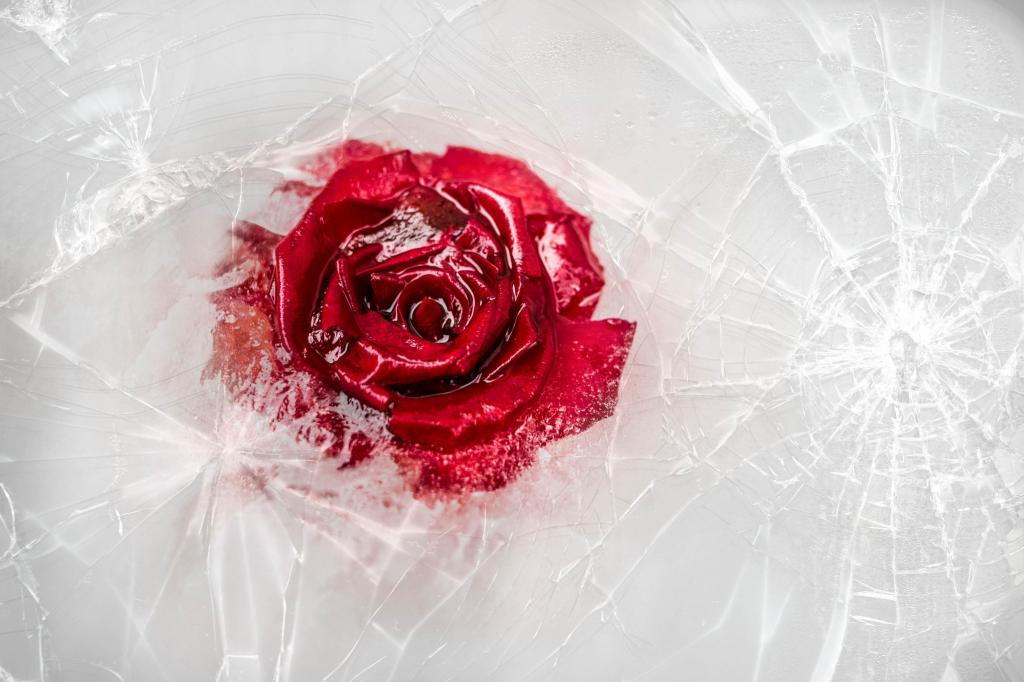 一朵被冰封的红玫瑰