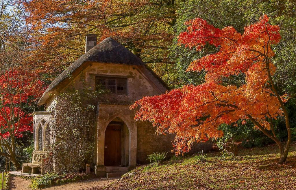 英格兰,秋天,房子,威尔特郡,Stourhead花园,威尔特郡,树木,英格兰,枫木,储存,公园