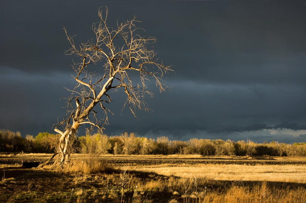 多云的日子期间沙漠的照片高清壁纸