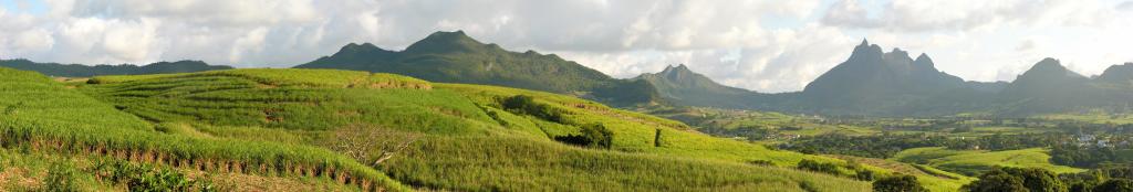 绿色的田野山,毛里求斯高清壁纸