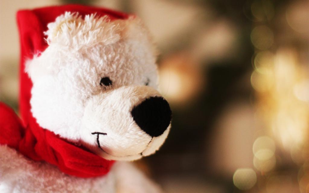 熊,玩具,新的一年,圣诞老人,熊,帽子