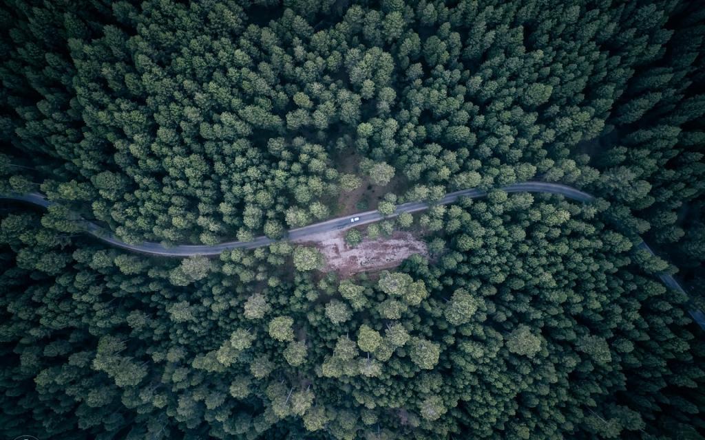 机器,森林,从顶部的看法,道路