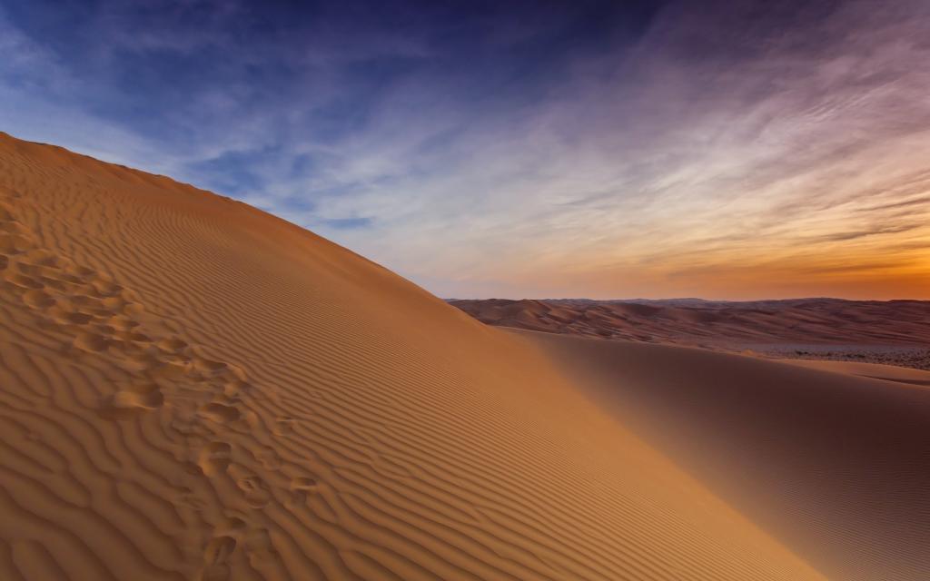 沙丘,沙漠,风景