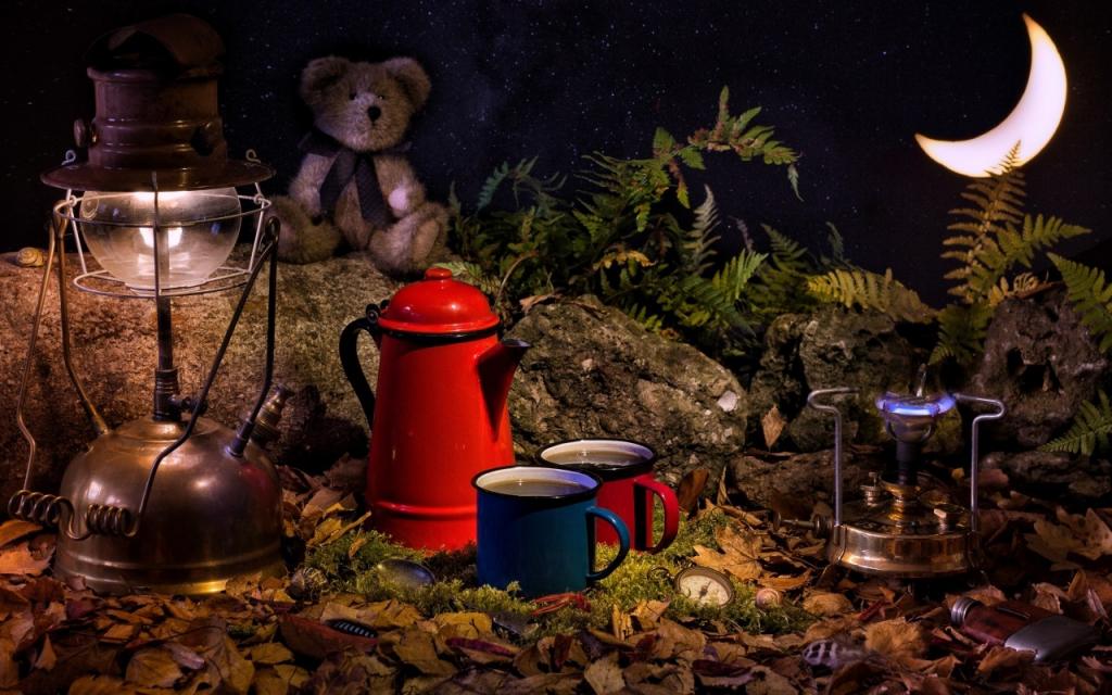壁纸熊,玩具,手表,马克杯,燃烧器,灯,叶子,一个月,蕨类,石头
