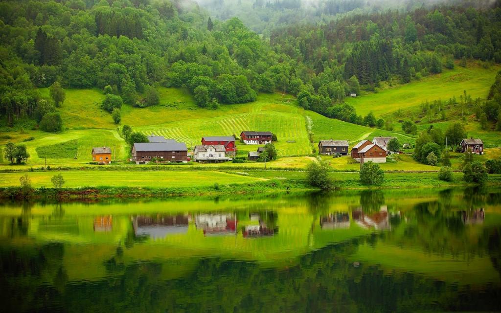 湖,斜坡,挪威,夏天,家,树