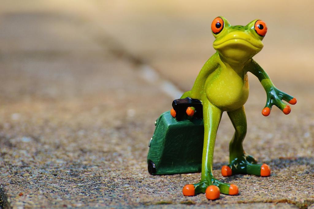 绿色和橙色的青蛙雕像高清壁纸