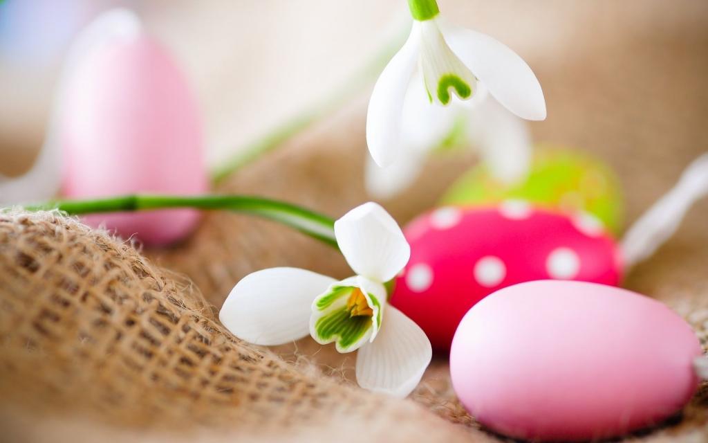 鲜花,复活节彩蛋,鸡蛋,复活节,雪花莲
