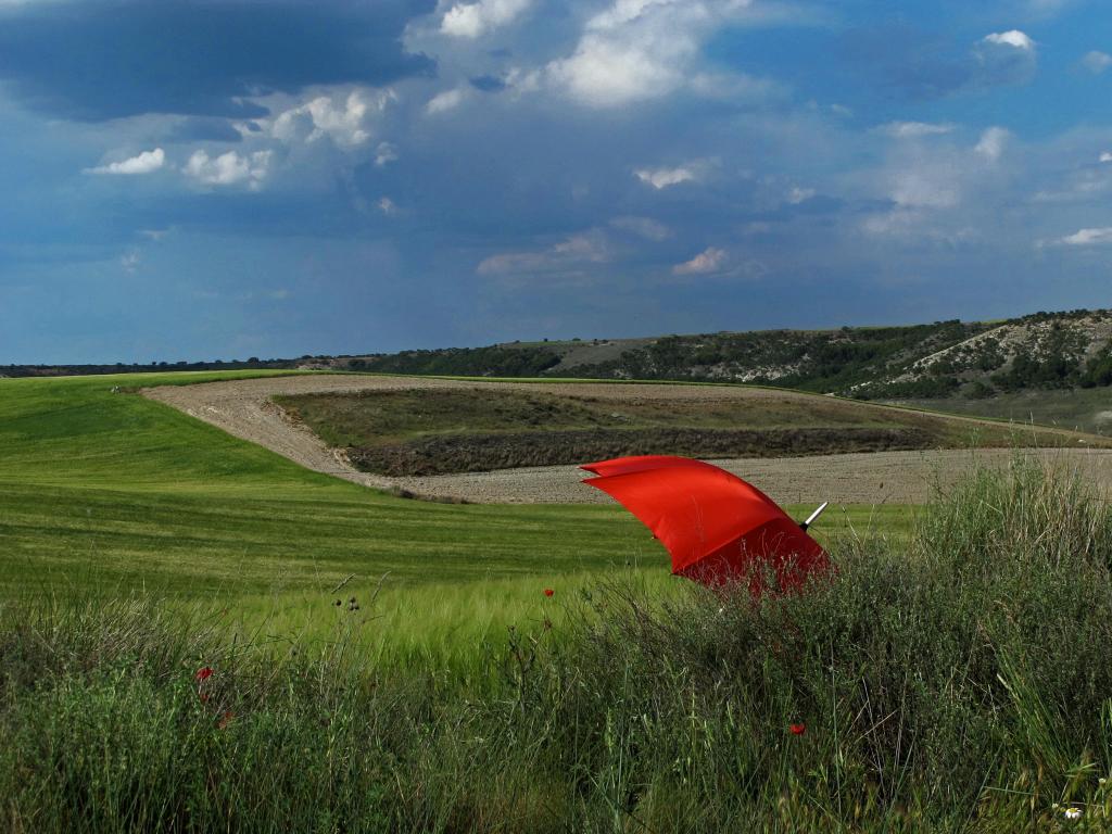在绿色的草地上的红伞的风景摄影场高清壁纸