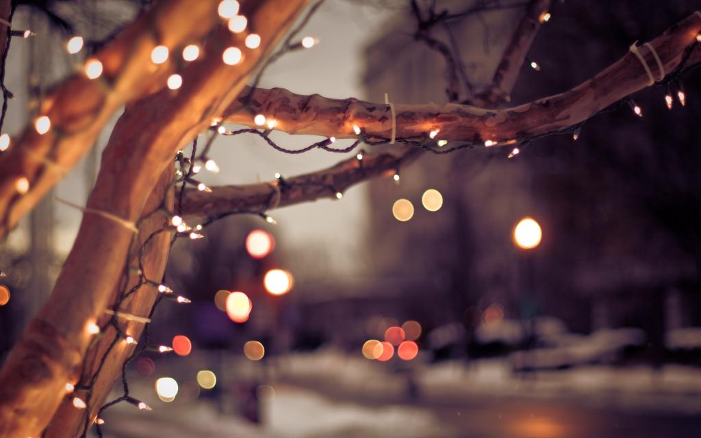 冬天,树,城市,灯,树,圣诞节,心情,灯泡,圣诞节,散景