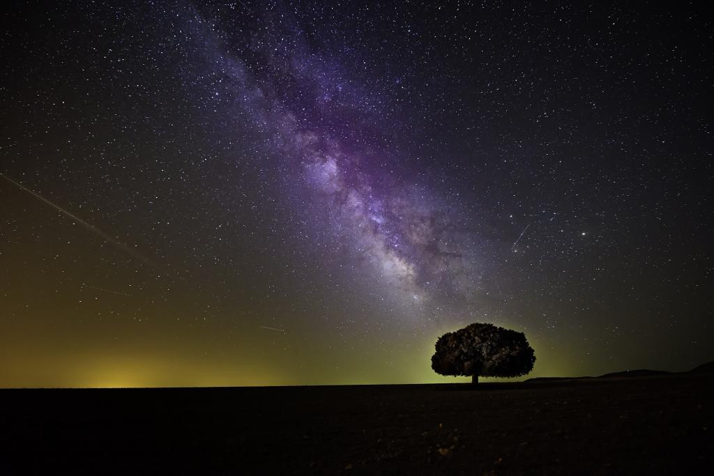 紫色的星系主题的天空下的树的轮廓的照片高清壁纸