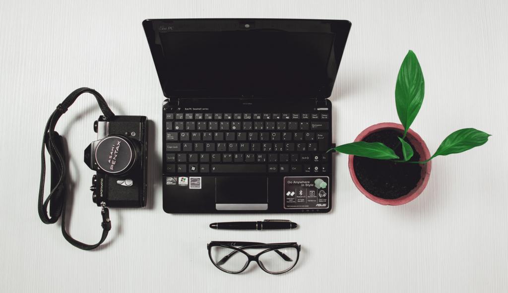 黑色的笔记本电脑旁边绿色的有叶的盆栽的植物和黑色胶片相机和扭曲笔和黑框眼镜高清壁纸