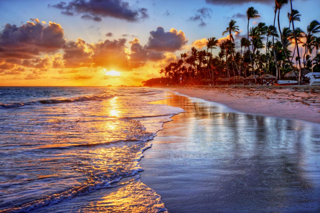 海,棕榈树,冲浪,太阳,岸边,云彩,沙子