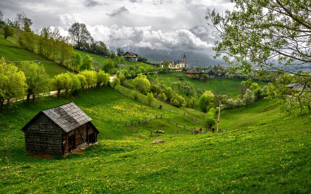 壁纸罗马尼亚,绿党,树木,家,特兰西瓦尼亚,草