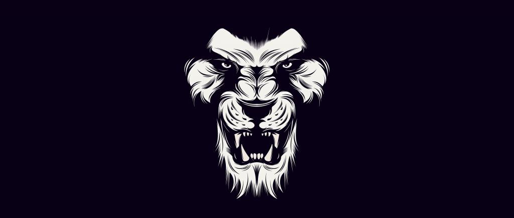 白色,狮子,黑色