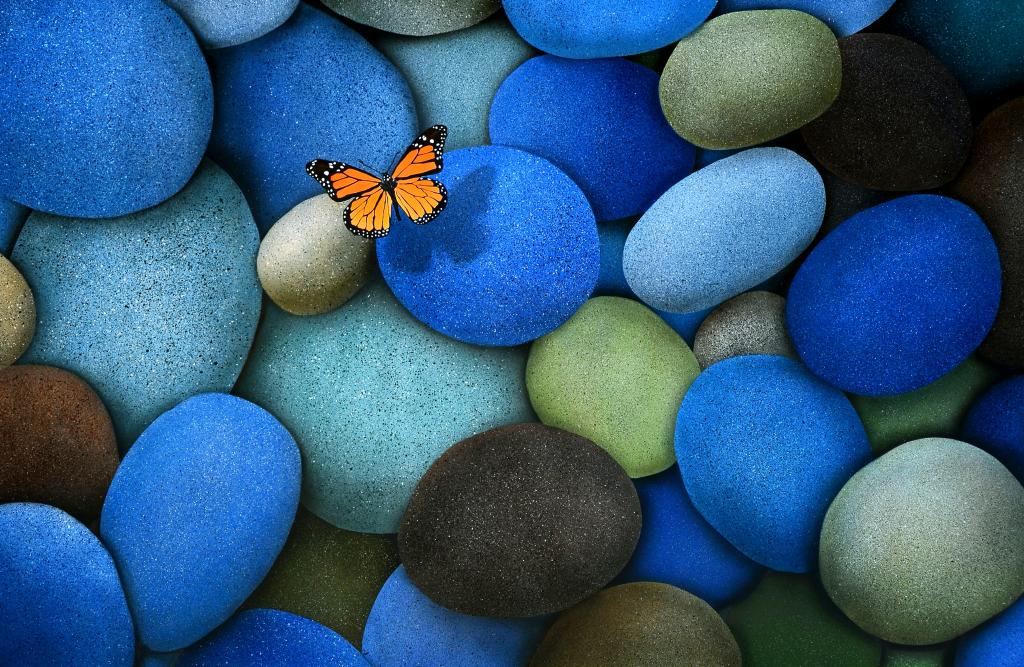 蝴蝶,棕色,石头,蓝色