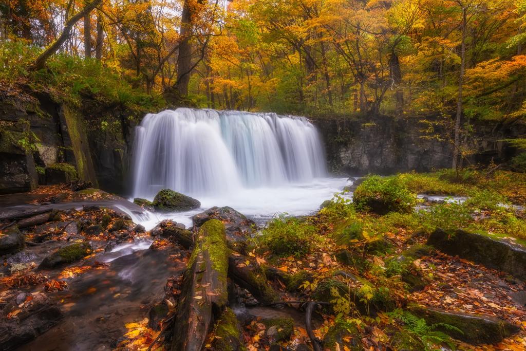 壁纸瀑布,河,秋天,森林
