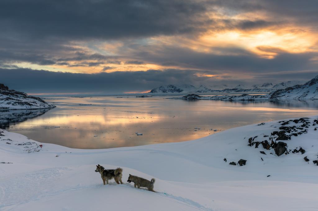 两个wolfdogs走在湖边的高清壁纸旁边的雪