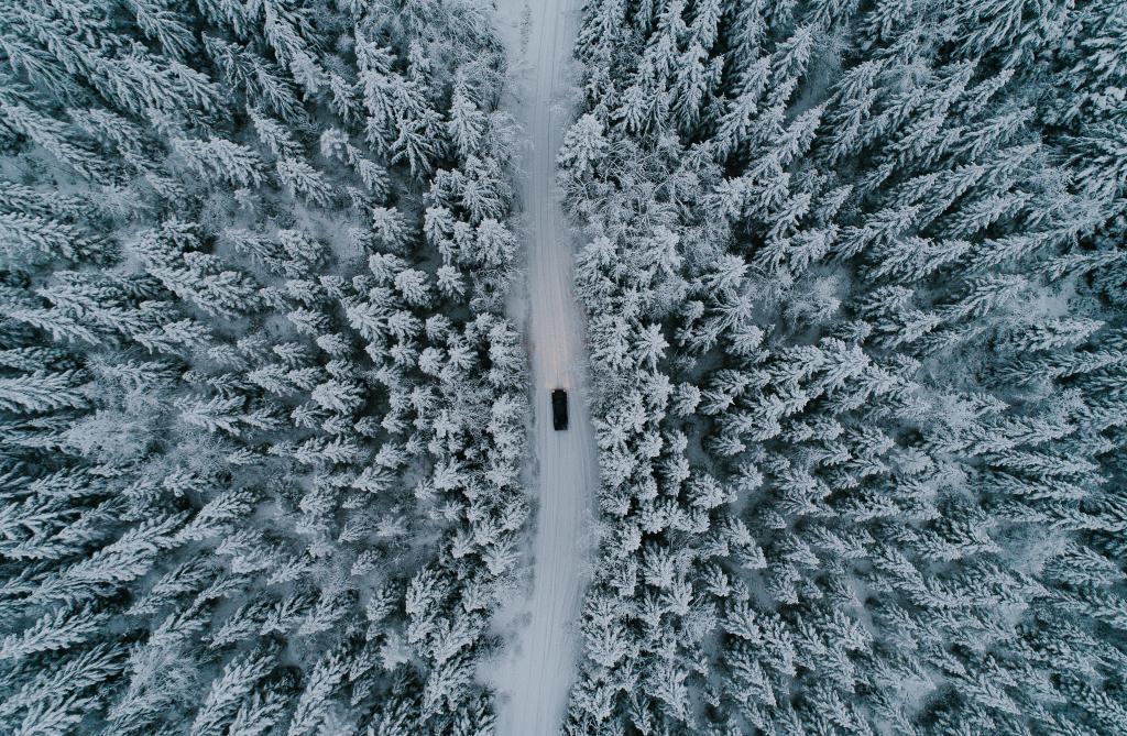 森林,机器,树,路,自然,冬天,雪,从顶部的看法