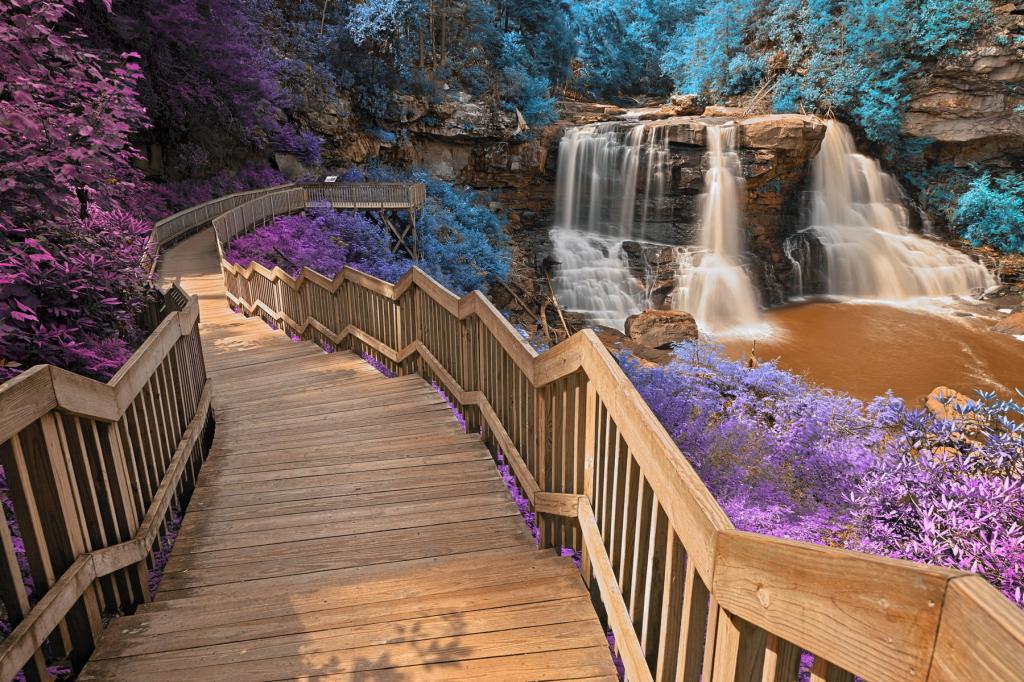棕色的木制楼梯,由紫色和蓝色的花瓣花植物水瀑布附近,黑水瀑布,印加高清壁纸