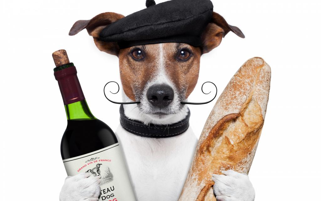 小胡子,狗,瓶,杰克罗素梗,接力棒,酒,面包,白色背景,帽子,幽默,爪子