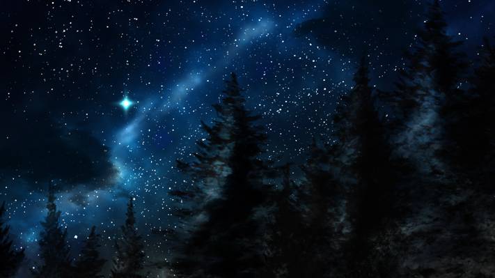树,森林,冬季,夜晚,星星,性质