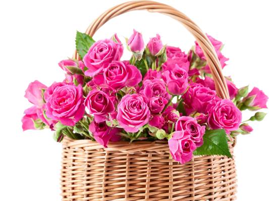 鲜花,花束,粉红色,美丽,篮子,篮子,玫瑰