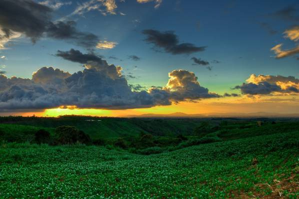 在日落,bukidnon,菲律宾高清壁纸绿色的草地