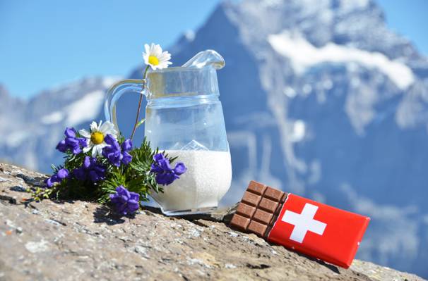 鲜花,阿尔卑斯山,瑞士,洋甘菊,巧克力,牛奶
