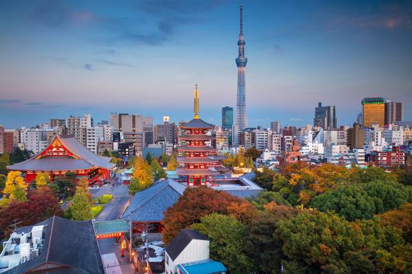 塔,东京,家,全景,秋天,日本