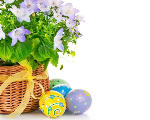 复活节,复活节,鸡蛋,鲜花