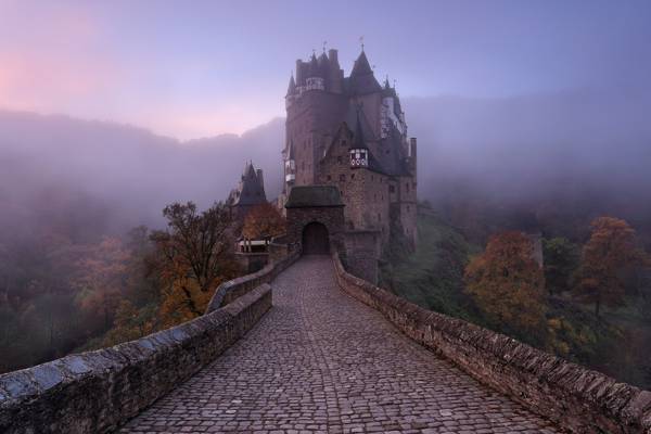城堡,秋天,德国,雾,阴霾,ELTZ
