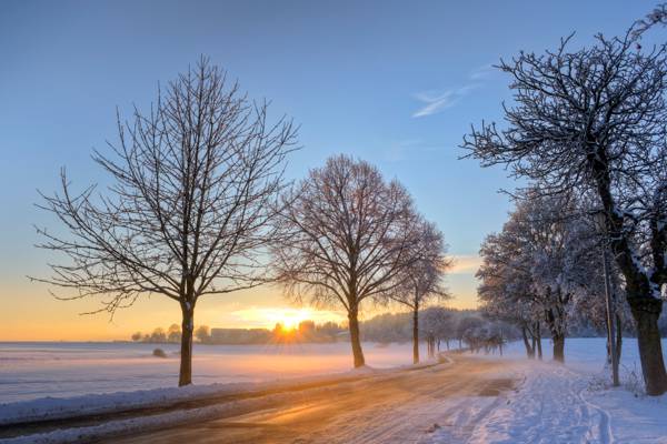 早晨,雪,冬天,路,树,德国,黎明,蓝色,太阳,天空,云彩