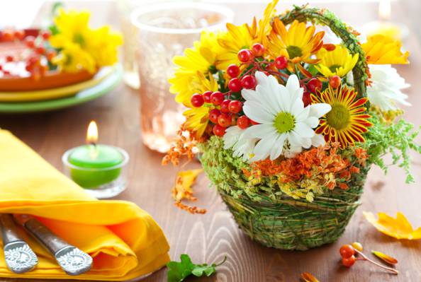 鲜花,餐巾,表,花束,叶子,浆果,蜡烛,罗文,餐具,火