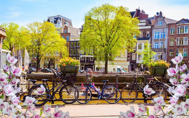 壁纸春天,河,开花,建筑物,运河,阿姆斯特丹,荷兰,开花,老,阿姆斯特丹,春天,桥,桥,自行车,花