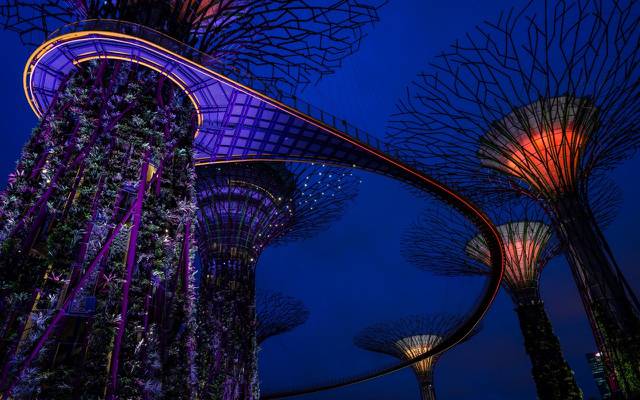 壁纸塔,滨海湾花园,灯,晚上,设计,新加坡,花园,设计