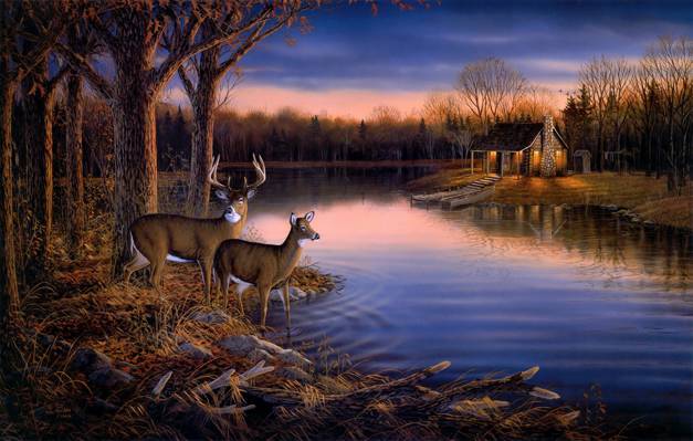 宁静的夜晚,晚上,水,秋天,鹿,河,森林,动物,船,自然,树,艺术,绘画,...