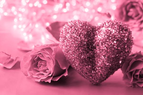 心,爱,玫瑰,粉红色,浪漫,玫瑰,礼物,情人节那天,心