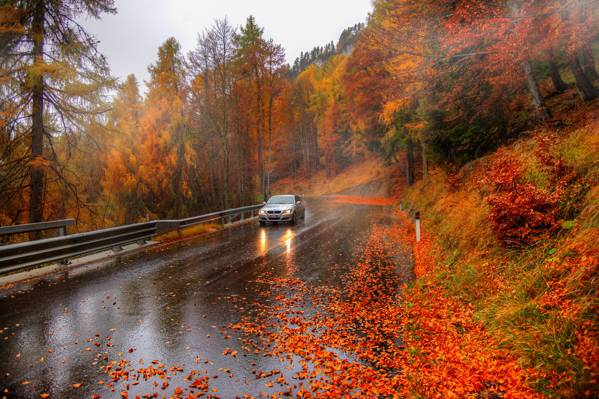 汽车,意大利,秋天,阿尔卑斯山