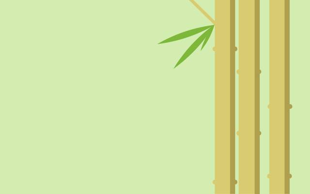 竹,茎,植物,叶子