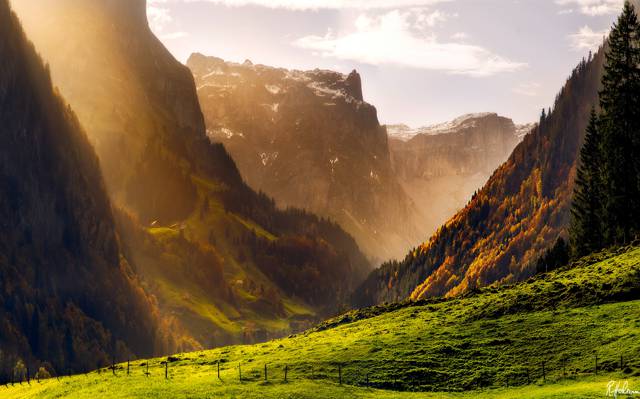 瑞士,山,秋天,森林,阿尔卑斯山