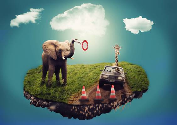 棕色的大象,灰色车与红色交通锥图高清壁纸