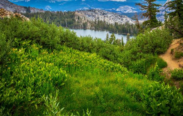 山,树,加州,踪迹,优胜美地国家公园,湖,绿色,草,优胜美地国家公园,森林,美国