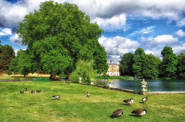 公园,邱园,英国,伦敦,树木,鸭,长凳,鸟,绿色,天空,草,池塘,云,...