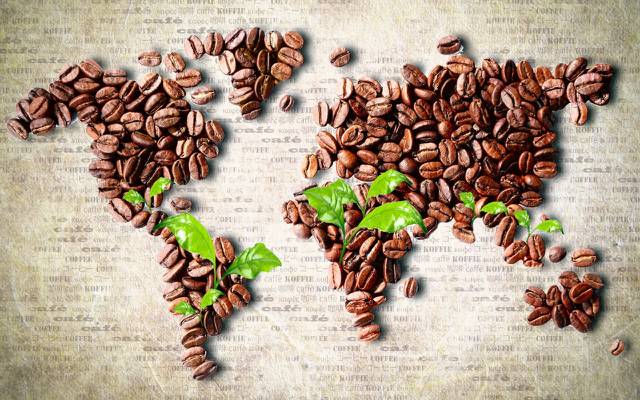 壁纸粮食,地图,咖啡,大洲,叶子